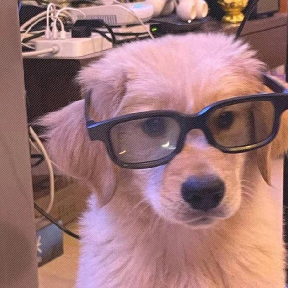 最新首码的头像-K6