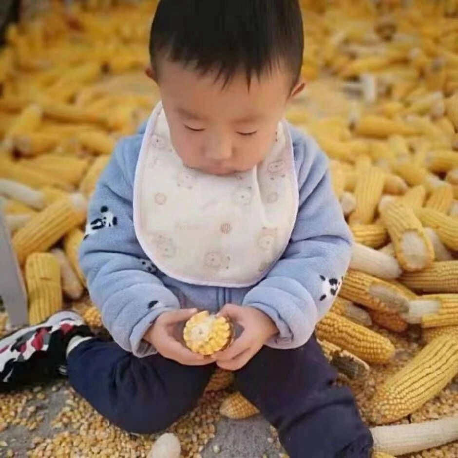 浩楠哥的头像-K6