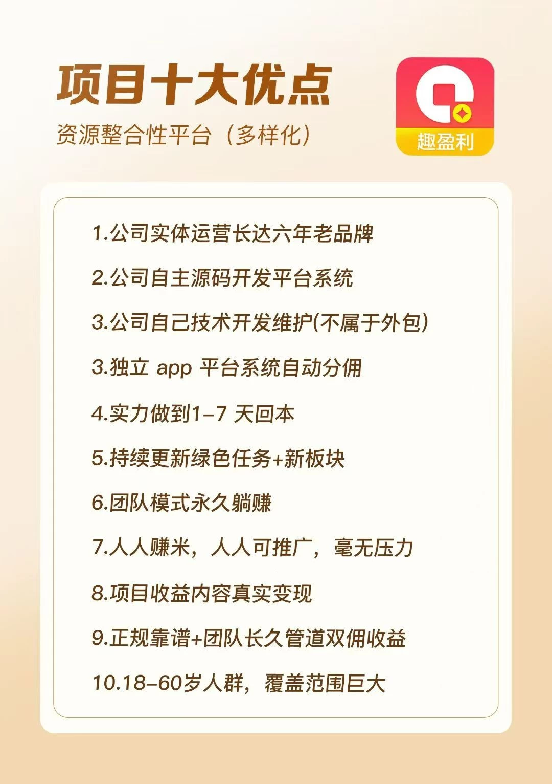 项目十大优点