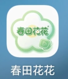 春田花花，零撸金币-K6