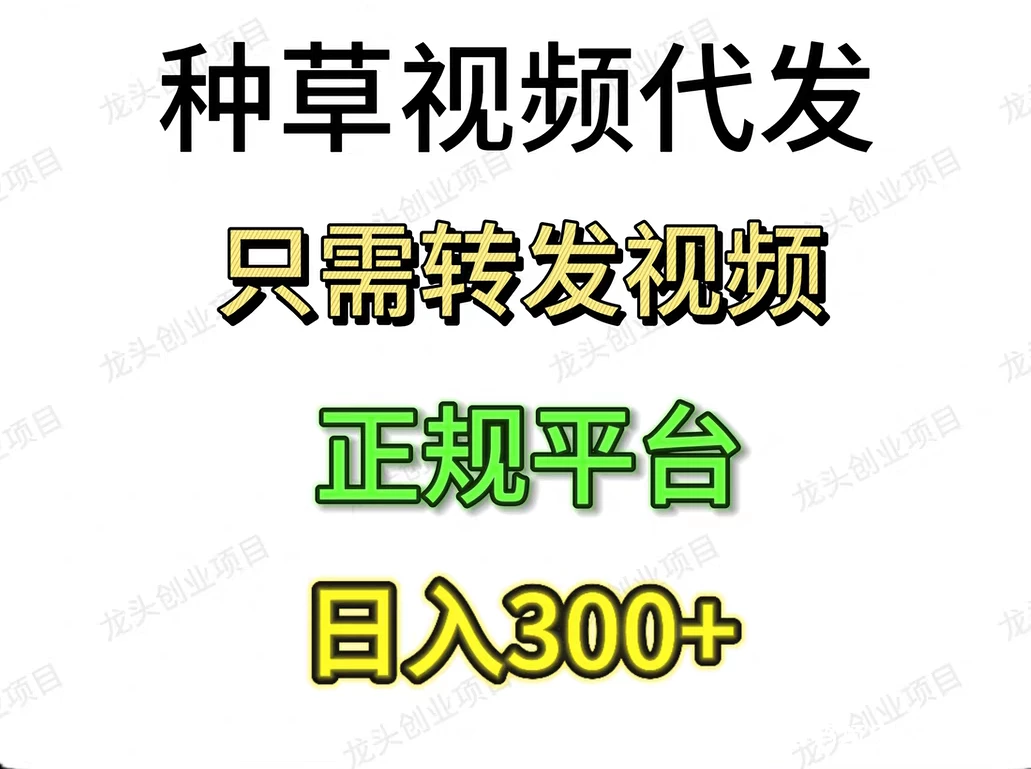 斗音 快手绿色代发视频一单70-K6
